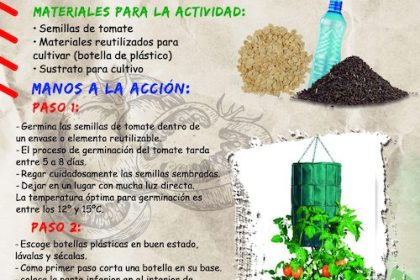 afiche-accion-positiva-6-huertos-verticales-cultivos-tomates