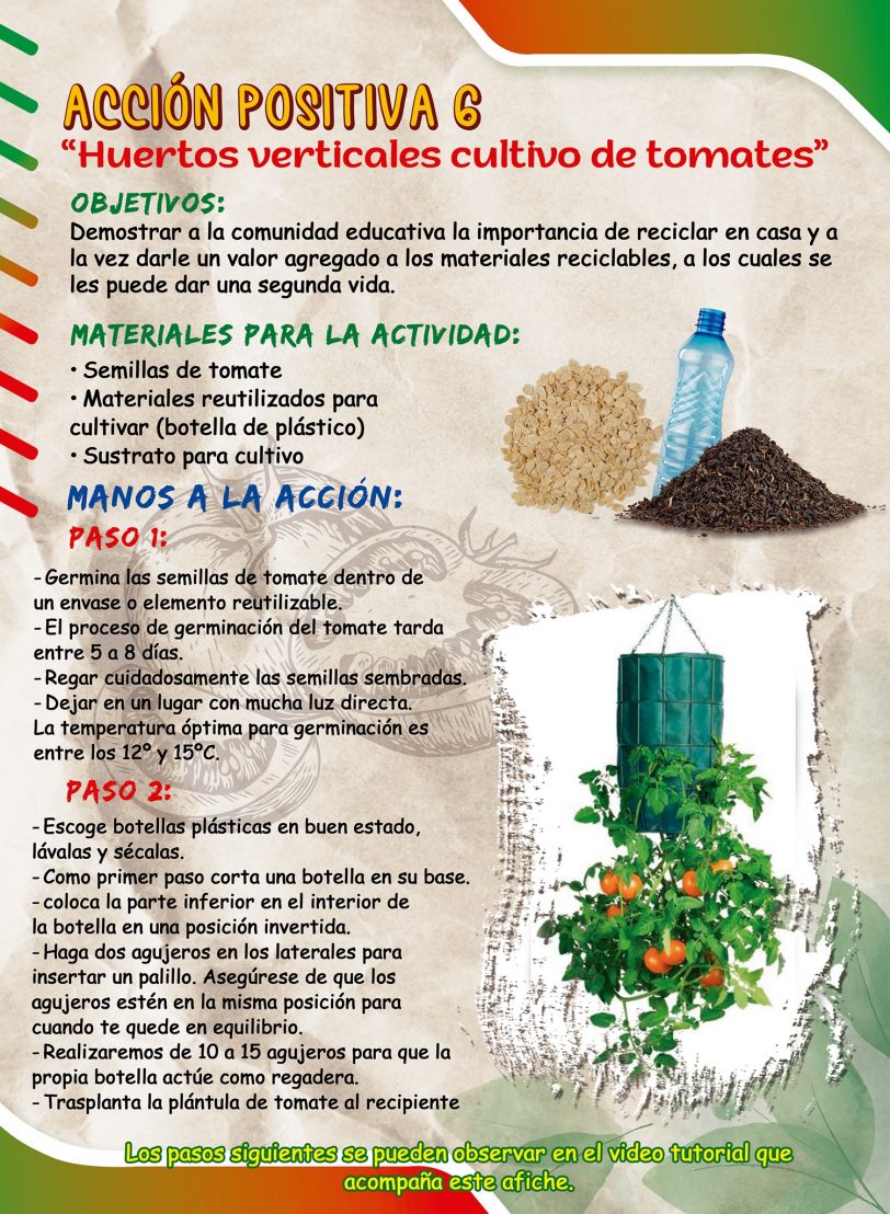 afiche-accion-positiva