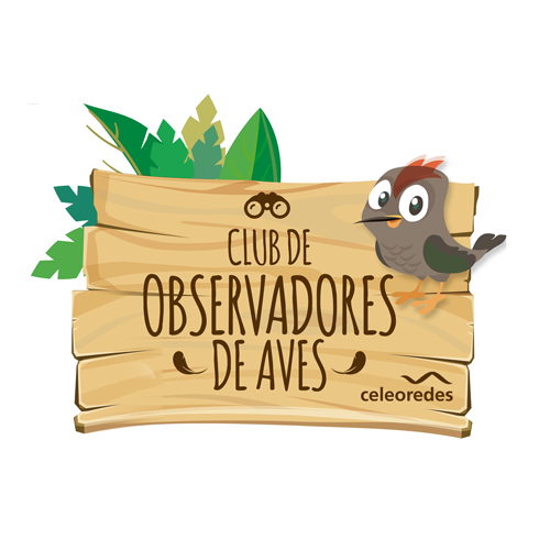 logo Club Observadores de Aves Escuela Corel con pajarito.