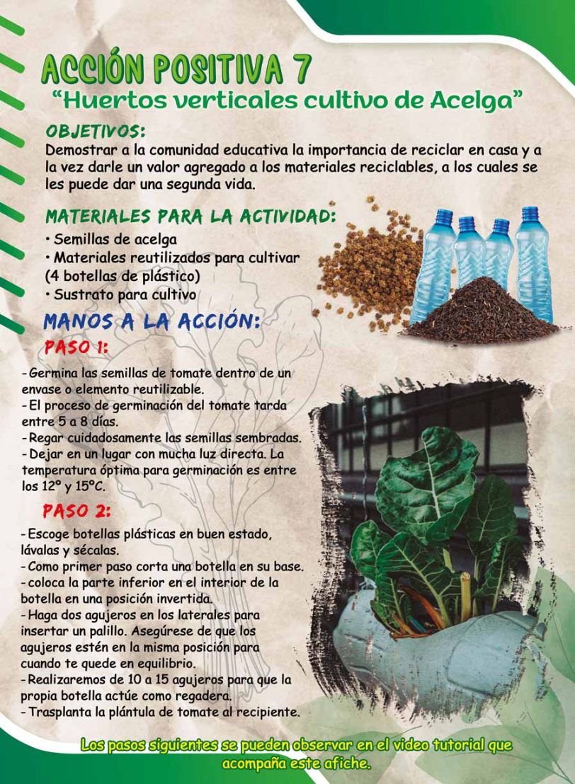 afiche-huertos-verticales-germinacion-de-semillas-de-acelga