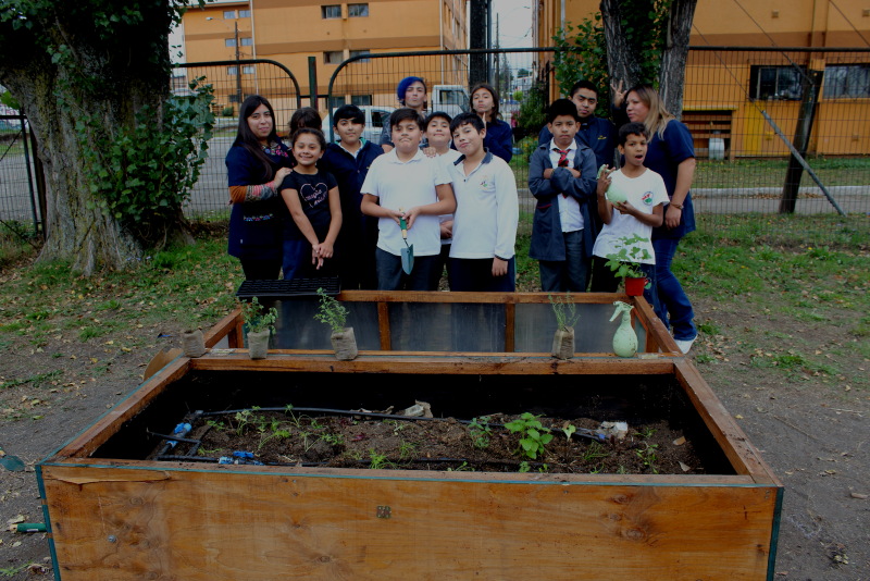 Estudiantes en el huerto escolar.