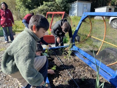 Estudiante cultivando vegetales