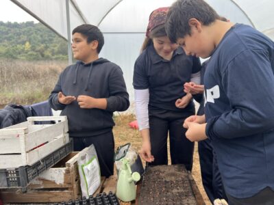 Estudiantes germinando semillas