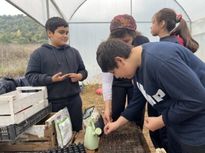 Estudiantes germinando semillas